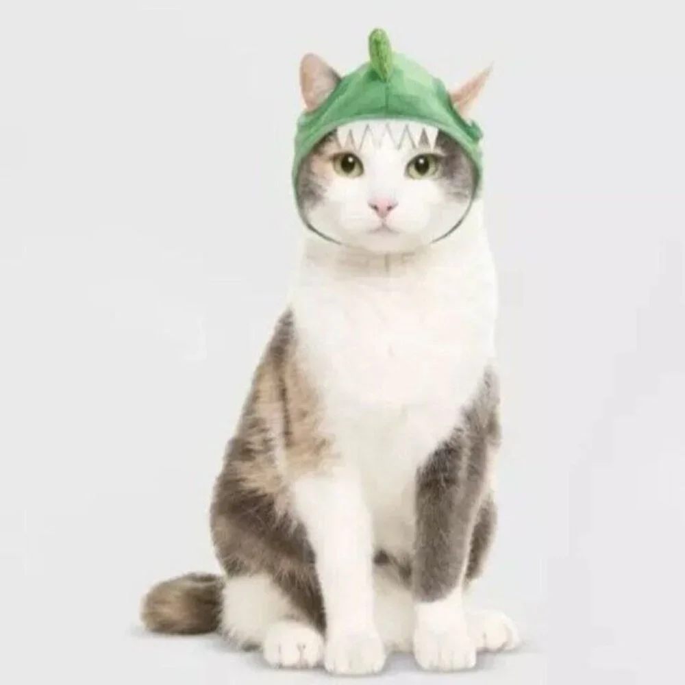 Small Cat Dog Pet Hat Dinosaur Halloween Costume One Size Headpiece New Green